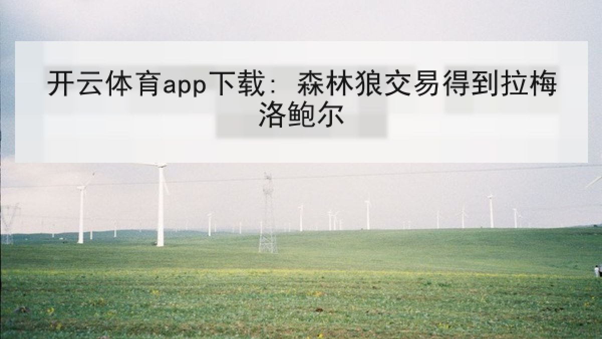 开云体育app下载: 森林狼交易得到拉梅洛鲍尔 开云体育app下载: 森林狼交易得到拉梅洛鲍尔