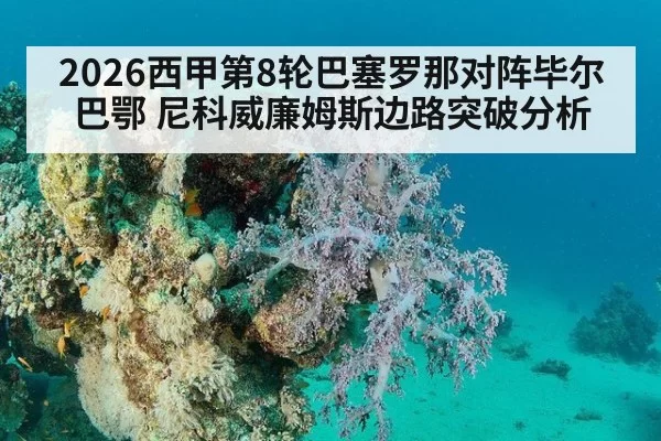 2026西甲第8轮巴塞罗那对阵毕尔巴鄂 尼科威廉姆斯边路突破分析